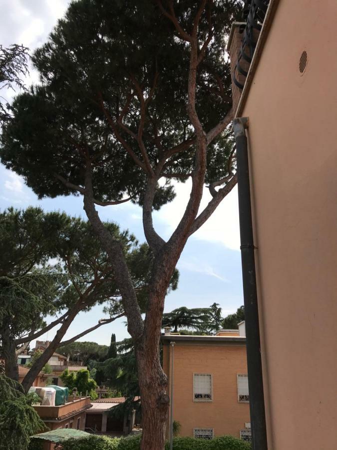 Agli Acquedotti Romani 外观 照片